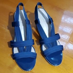 Charles By Charles David Wedge Navy Blue Strappy Open Toe Sandals Size 10